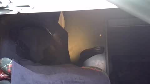 Snapshot of magicomerlino63 chatting on October 27, 6:41 pm magicomerlino63 online show from October 27, 6:41 pm