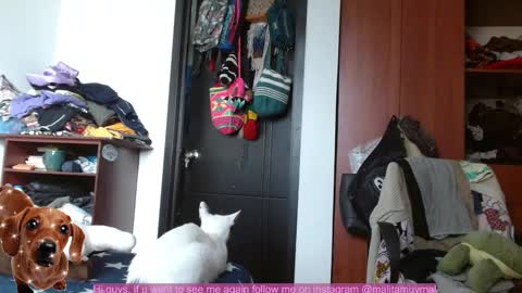 Malita online show from September 12, 10:01 pm