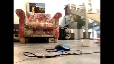 man38110 online show from March 9, 8:40 am