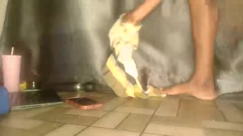 mandymia online show from January 10, 6:35 pm