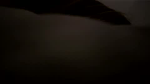 mannyboy628652 online show from March 22, 2:37 am