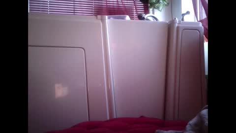 Snapshot of mariahjsav95 chatting on February 12, 2:54 pm MariahJade95 online show from February 12, 2:54 pm