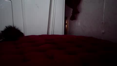 Snapshot of mariahjsav95 chatting on December 7, 7:32 am MariahJade95 online show from December 7, 7:32 am