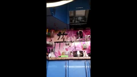 marinka_ online show from April 10, 9:58 am