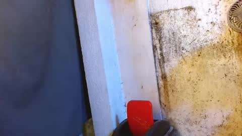 LEAH online show from October 17, 11:42 pm