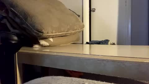 martasub online show from December 15, 4:25 pm