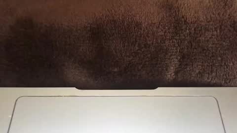 massivehungbigdick online show from June 2, 9:06 pm