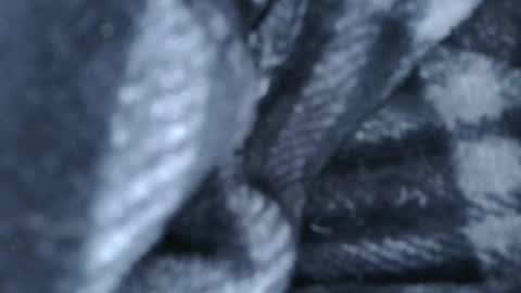 alex online show from March 28, 1:29 am