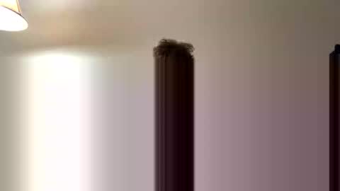 Milo online show from March 8, 7:29 pm