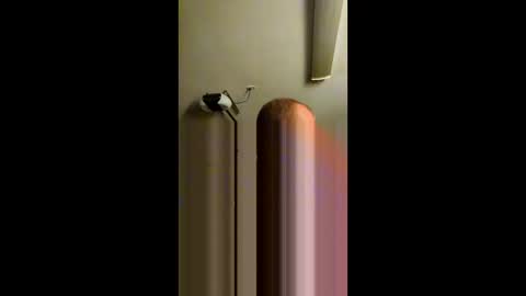 maxpleasure13141540 online show from April 18, 8:38 am