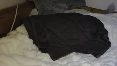 Snapshot of maybeanal chatting on October 26, 12:22 am maybeanal online show from October 26, 12:22 am