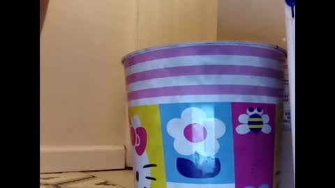 Snapshot of meaderd740870 chatting on January 23, 4:19 am meaderd740870 online show from January 23, 4:19 am