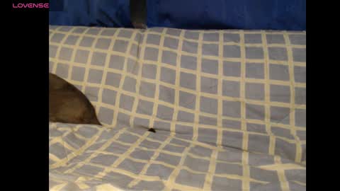 Meg4n Miauuuu online show from February 19, 2:01 am