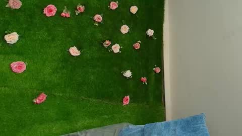 megatitts_ online show from March 29, 8:38 am