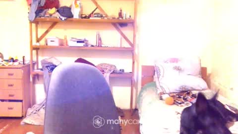 Snapshot of memorningdew chatting on December 2, 5:08 am Yummygirl online show from December 2, 5:08 am