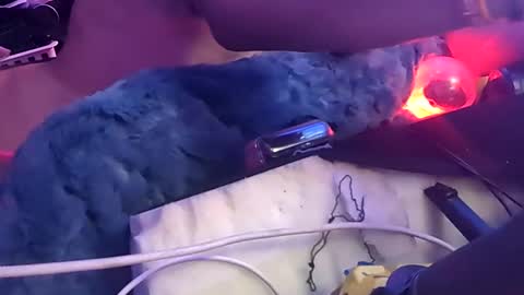 gurlnips online show from December 2, 8:34 am