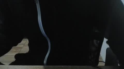 miamorr_ online show from February 3, 4:43 am