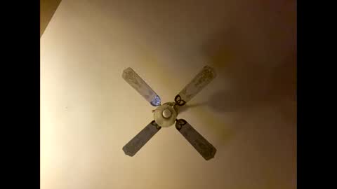 DMCA online show from November 1, 10:25 am