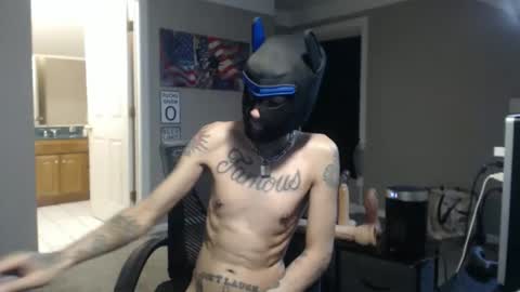 michigan9000 online show from February 3, 6:22 am