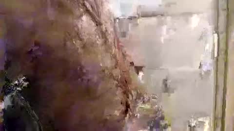 mickavis1975 online show from December 17, 5:36 am