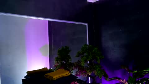 Alice online show from February 13, 8:38 am