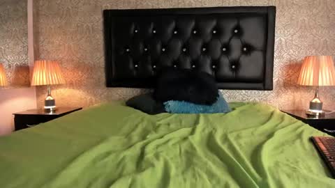 Mike2 wills online show from January 30, 6:56 am