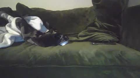 mike_davis44444 online show from January 31, 7:07 am