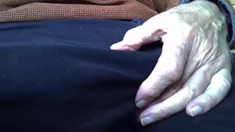 mikeybed online show from October 14, 3:04 pm