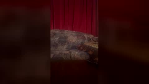 mil8207 online show from March 16, 5:21 am