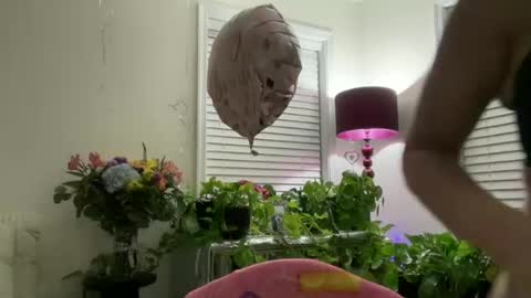 MIlf Goddess online show from July 7, 4:25 am