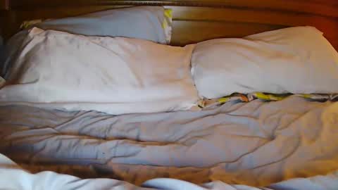 Snapshot of milfytitts chatting on October 21, 1:38 pm MilfyTitts online show from October 21, 1:38 pm