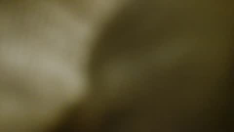 Softluxe online show from March 3, 7:37 am