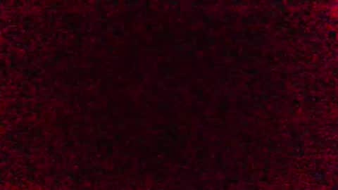 minoas31 online show from February 9, 6:17 am