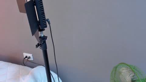 daniela online show from October 27, 1:38 am