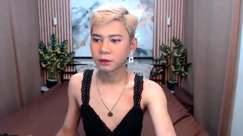 Stella online show from August 5, 6:21 am