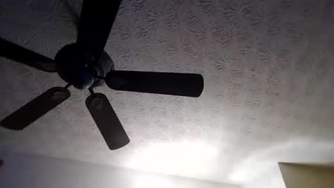 BobbyMitchGa online show from September 18, 10:30 am