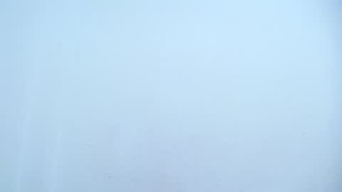 Catalina online show from March 8, 8:33 am