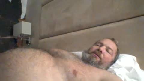 mofu781s online show from November 4, 9:49 pm