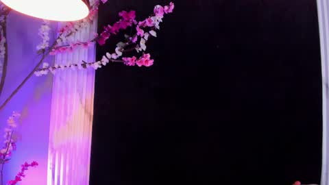 MONIK FOX online show from November 11, 9:39 pm