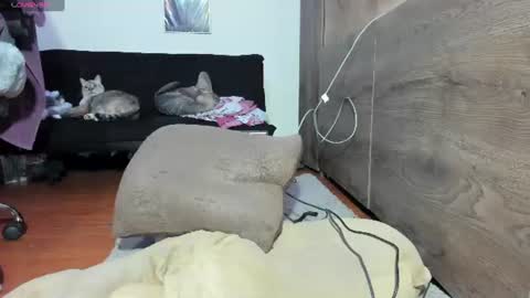 Luna online show from June 16, 10:58 pm