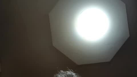 moos1 online show from April 1, 5:08 am