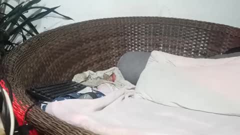 John john online show from February 17, 4:31 am