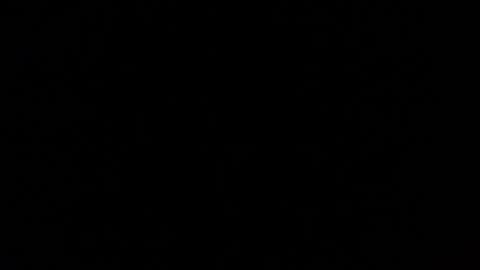 Nomadu online show from March 1, 5:49 pm