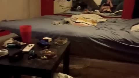 mrg2713 online show from April 13, 7:12 am