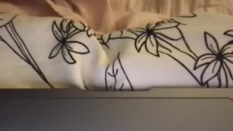 mrjackryan81 online show from October 15, 7:10 am