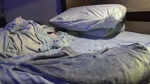 MR NO ICE online show from March 9, 2:38 am