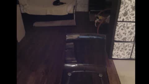 Sasha online show from September 16, 2:46 am