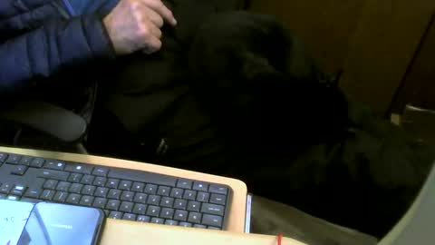 muller520 online show from September 25, 5:42 pm