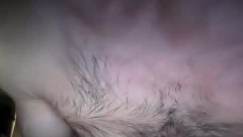 musclehair3 online show from February 26, 8:36 pm