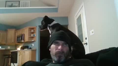 vienna online show from December 2, 5:15 am